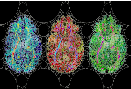 Desarrollo y salud mental a tu alcance:Neurodiversidad
